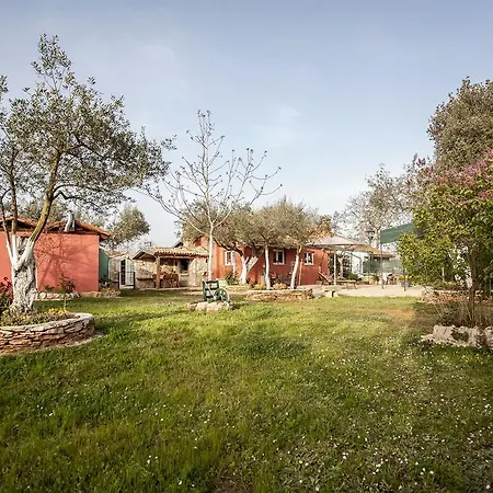 Hébergement de vacances Casa Terren Grande *